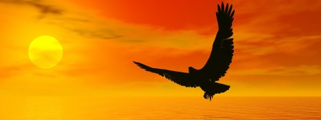 Shadow of an eagle flying to the sun by red sunset over the oceanの写真素材