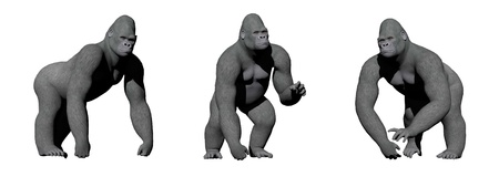 Gorillas with hand on the ground in four different positions in white backgroundの写真素材