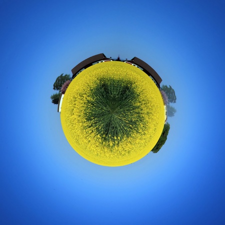 Planet of colza field in the country by beautiful dayの写真素材