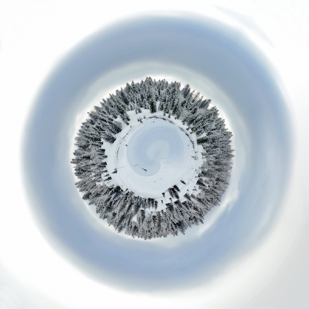 Planet of beautiful fir trees covered with snow in the Jura mountain by cloudy winter day, Switzerlandの写真素材