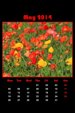 Colorful english calendar for may 2014 in black background, dandelions and green grassの写真素材