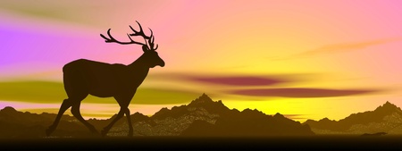 Shadow of an elk standing looking at mountains by sunsetの写真素材