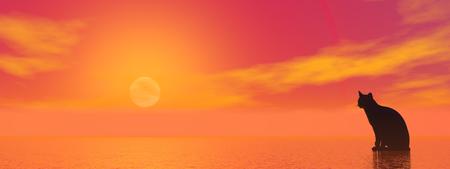 Black silhouette of a cat sitting and looking at the beautiful red sunsetの写真素材