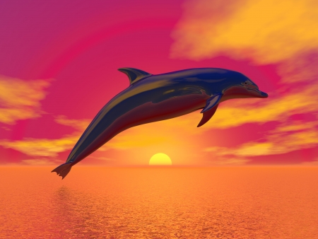 Dolphin jumping upon the ocean by beautiful red sunsetの写真素材