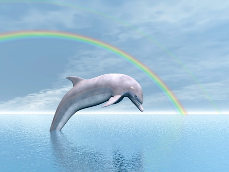 Dolphin jumping upon the ocean under rainbow by beautiful dayの写真素材