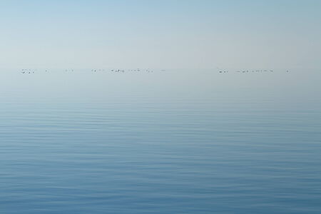 Horizon of quiet lake with little ducks by foggy dayの写真素材