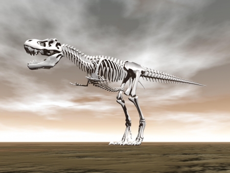 Tyrannosaurus rex skeleton on the ground by cloudy dayの写真素材