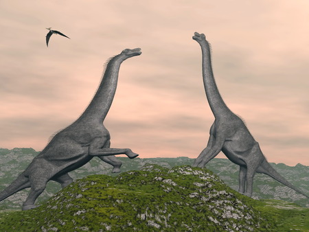 Two brachiosaurus dinosaurs fighting by cloudy sunset, pteranodon bird flyingの写真素材