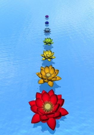 Lily flowers with chakra colors upon blue waterの写真素材