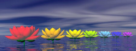 Lily flowers with chakra colors upon water by nightの写真素材