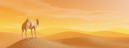 Camel in the desert - 3D renderの写真素材