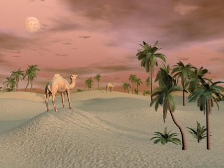 Camels in the desert - 3D renderの写真素材