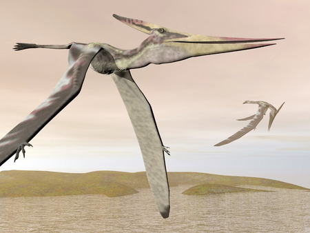 Pteranodon flying - 3D renderの写真素材