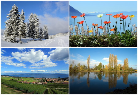 Set of four seasons landscapesの写真素材
