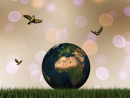 Earth and birds - 3D render