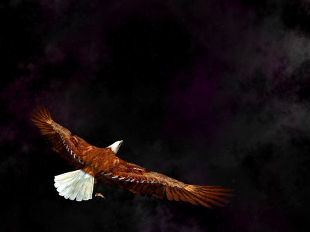 Eagle flying in the universe - 3D renderの写真素材