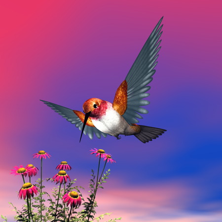 Rufous hummingbird - 3D renderの写真素材