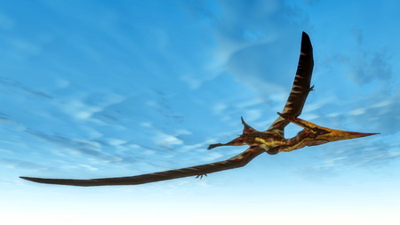 Pteranodon bird flying - 3D renderの写真素材