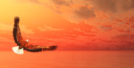 Eagle flying upon ocean by sunset - 3D render