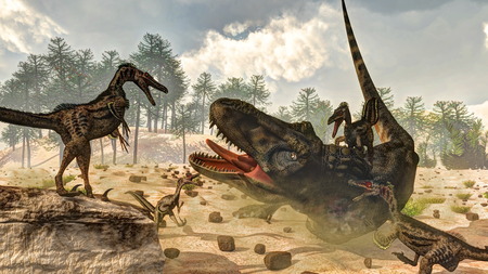 Tarbosaurus attacked by velociraptor dinosaurs next to nipa plants and araucaria trees by day - 3D renderの写真素材