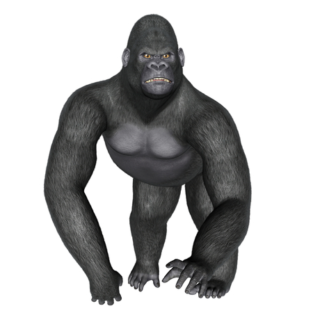 Angry gorilla walking isolated in white background - 3D renderの写真素材