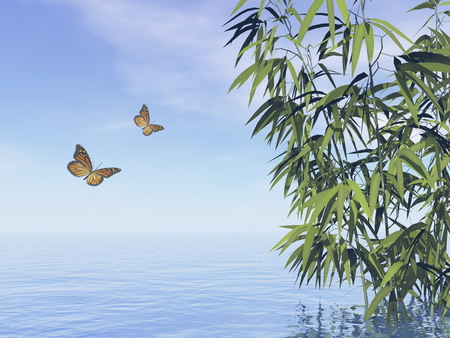 Butterflies and bamboos upon water by day - 3D renderの写真素材