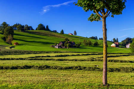 Appenzell hill landscape by beautiful day, Switzerland