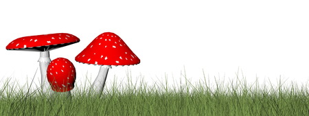 Red mushrooms in the grass isolated in white background - 3D render