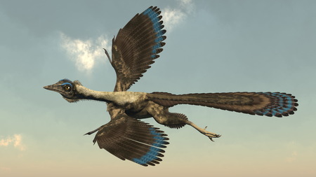 Archaeopteryx birds dinosaurs flying - 3D renderの写真素材