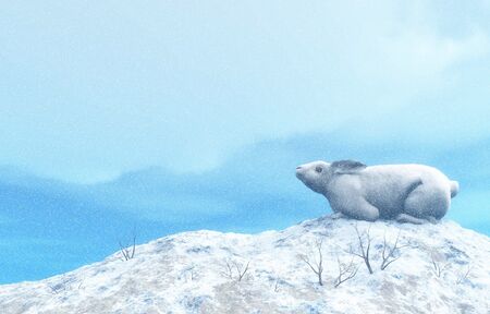 Arctic hare, lepus arcticus, or polar rabbit - 3D renderの写真素材