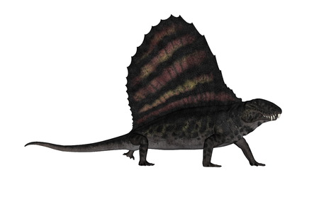 Dimetrodon dinosaur - 3D renderの写真素材