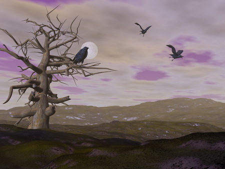 Dead tree and crows raven by night - 3D renderの写真素材
