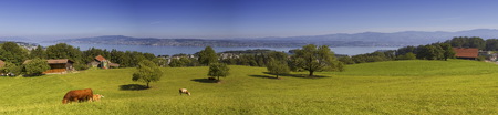 Zurich canton landscape, Switzerlandの写真素材
