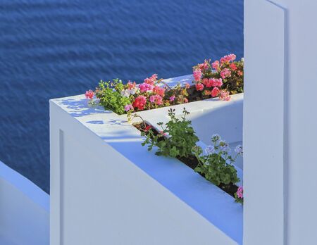 Plants at a balcony at Oia village in the Caldera, Greeceの写真素材