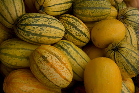 Pumpkin on the farm market.