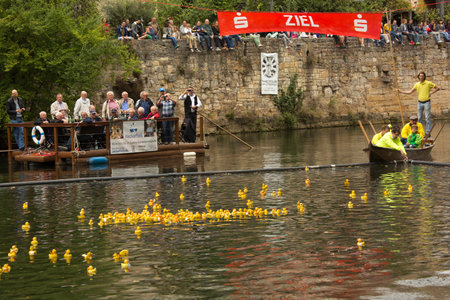 TUEBINGEN, GERMANY, 2 OCTOBER 2016. TUEBINGEN, GERMANY, 2 OCTOBER 2016. Racing toy ducklings in Tuebingen.のeditorial素材