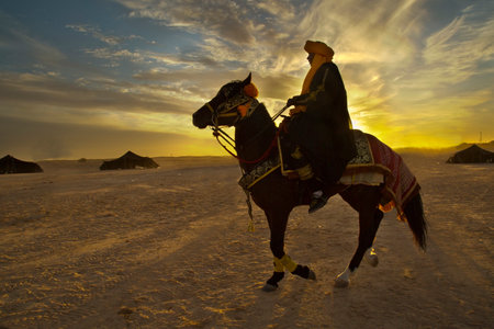 DOUZ,TUNISIA. 20 DECEMBER 2018.  Festival of the Sahara in Douz, Tunisia.