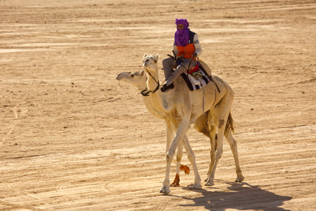 DOUZ,TUNISIA. 20 DECEMBER 2018.  Festival of the Sahara in Douz, Tunisia.のeditorial素材