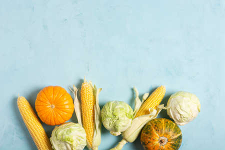 Orange pumpkin, yellow ears of corn, lettuce lie on a blue concrete background, flat lay, horizontal orientation, copy space. Healthy diet food concept.の写真素材