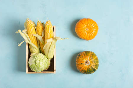 Yellow ears of corn and cabbage lie in a wooden box against a light blue concrete background, next to it is an orange pumpkin, flat lay, knoll. Healthy diet food concept.の写真素材