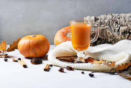 Autumn composition. Pumpkin juice in a glass on a gray background, next to it lies a pumpkin, spices and tree bark. Horizontal orientation.の写真素材