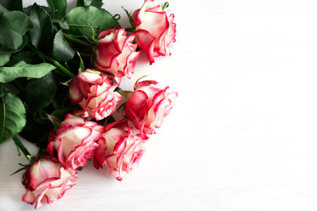 Fresh pink roses lie on a white wooden table, copy space, horizontal orientationの写真素材