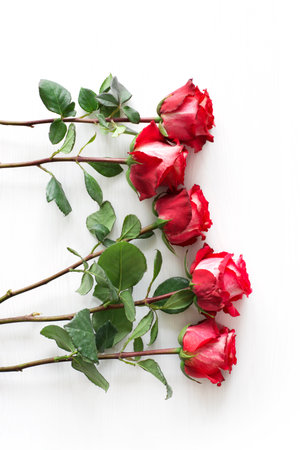 Red roses lie on white wooden table, Valentine's Day concept, vertical orientation, flat layの写真素材