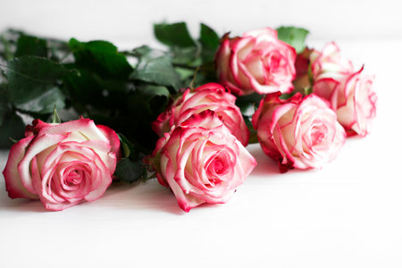 A large bouquet of pink roses lies on a white surface, close-up, selective focus, horizontal orientationの写真素材