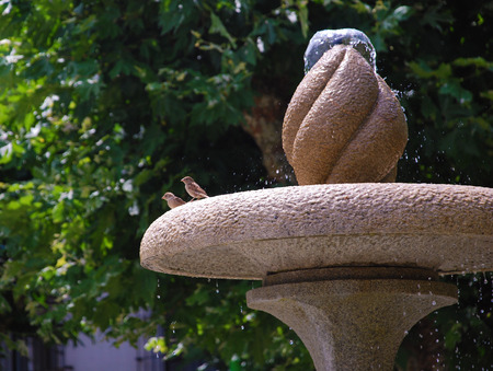 Birds at the fountainの写真素材