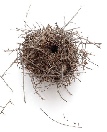A bird's nest photographed on white,の写真素材