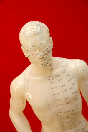 Acupunture model on a red background.の写真素材