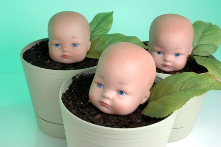 Plastic  heads growing in pots.の写真素材