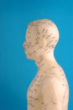 Acupuncture model head in profile.の写真素材