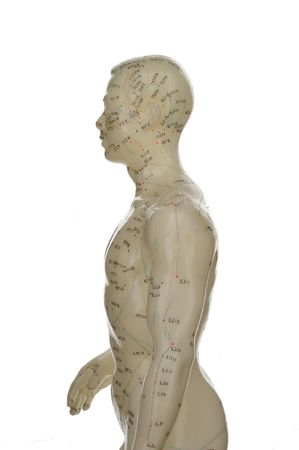 Acupuncture model profile photographed on white.の写真素材